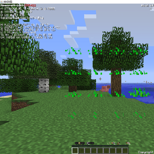 Minecraft Alpha 0.0.0, Minecraft CreepyPasta Wiki