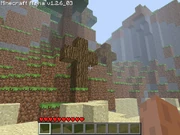 crosses