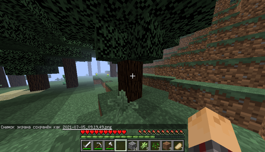 creeper face Minecraft Map