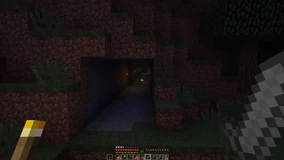 Bandicam 2021-01-01 13-04-23-136