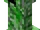 Creepers of the World