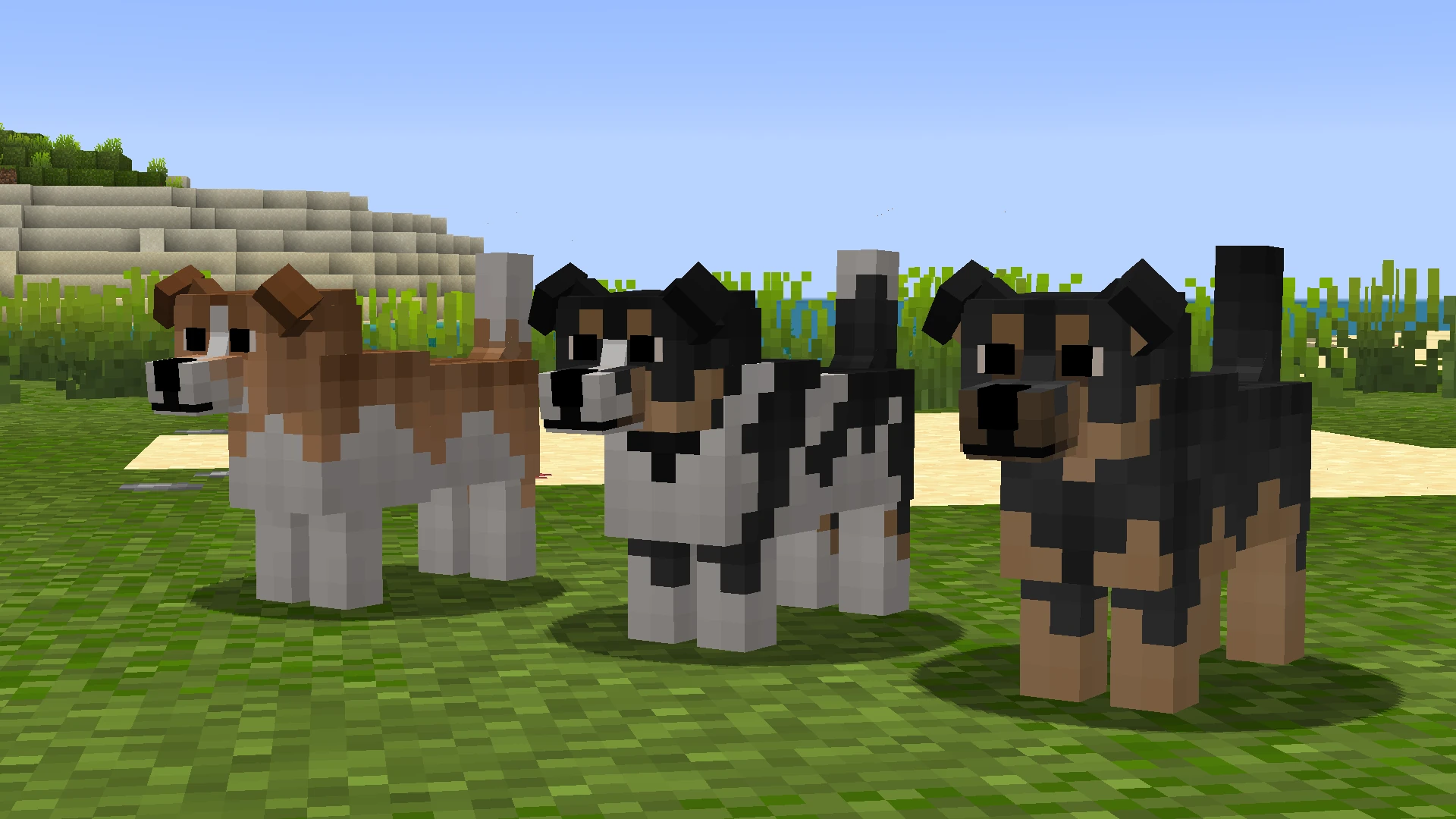 Dog | Minecraft Fanon Wiki | Fandom, image size:1920x1080