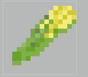 Ears of Corn.