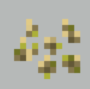 Barley Seeds, seeds for a new crop, Barley.
