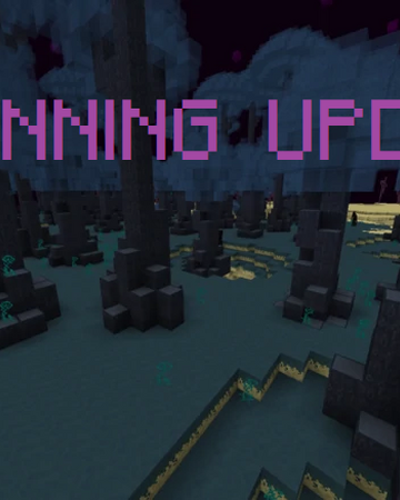 Bedrock Edition 1 0 End Update Minecraft Fanon Wiki Fandom