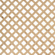 Lattice