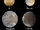 Jovian Moons