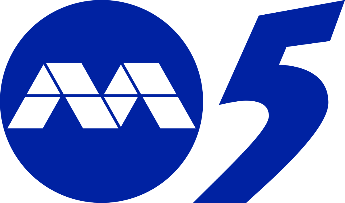 List of Singnian television channels Minecraftians Wiki Fandom