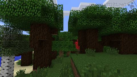 Dark Oak Wood Tree Minecraft Network Fandom