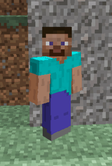 Как выглядит лицо майнкрафт Welcome to Minecraft ! 2022