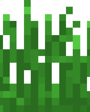 Hierba Alta Minecraftpedia Fandom Pasto arbol, pasto, hierba, césped, flor png. hierba alta minecraftpedia fandom