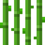 Sugarcane.png