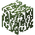 Birch Leaves