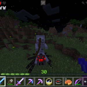 Jockey Minecraft Bedrock Wiki Fandom