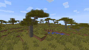 acacia leaves minecraft