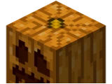Carved Pumpkin