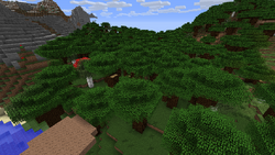 Roofed Forest Biome/Dark Oak Trees