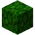 Jungle Leaves