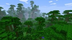 Jungle Biome/Jungle Trees