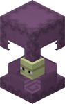 Shulker Open