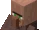 Villager
