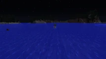A Drowned Chicken Jockey