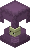 A Shulker.
