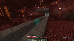 Back to the Nether