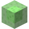 Slime Block