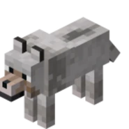 A Wolf in Minecraft.