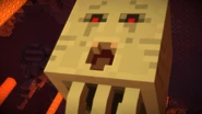 Ghast1.jpg (172 KB) Ghast with its mouth open.
