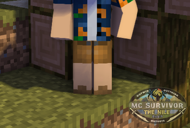 HappyyppaH, Happy's Minecraft Survivor Wiki