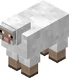 Sheep.jpeg
