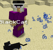 Witch Set (spawns black cat and appear as a witch to other players)