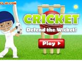 Cricket Defend the Wicket