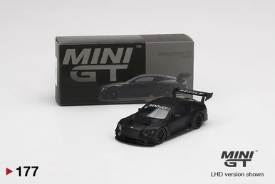 Eva RT Test Type-01 X Works GT-R 33 Test Car SUPER GT GT300 2019