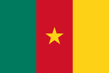 Flag of Cameroon