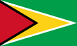 Flag of Guyana