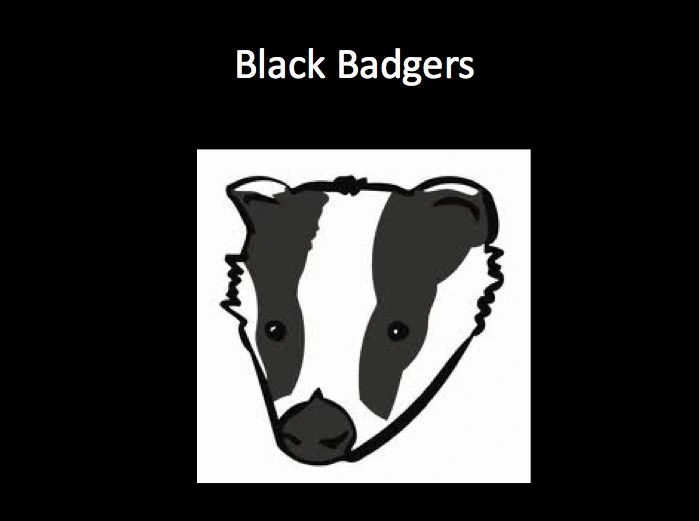 Black Badgers Minimum reality Wiki Fandom