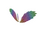 Essence Wings.png