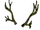 Wanwood Antlers