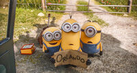 Minions Stop.jpg