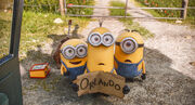 Minions tramping