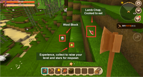 Finding Sheep