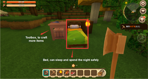 Sleeping in Bed