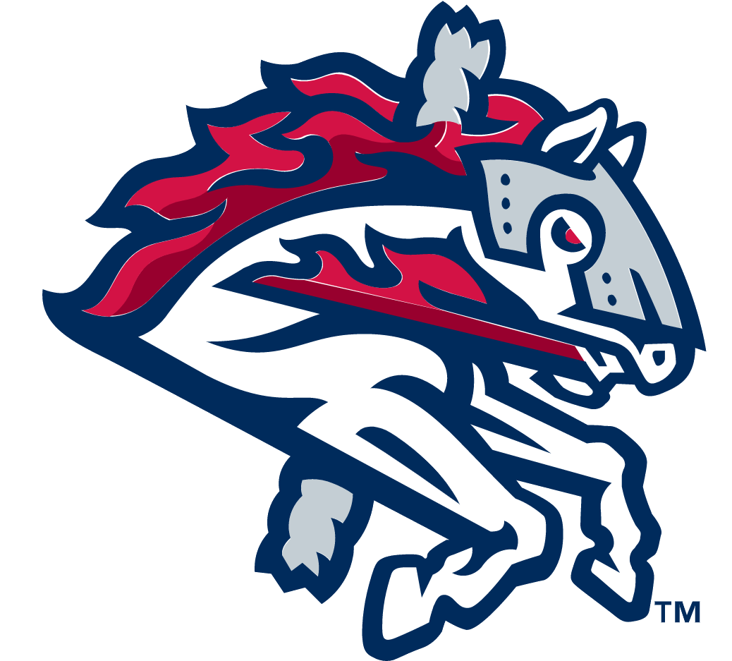 Binghamton Rumble Ponies - Wikipedia