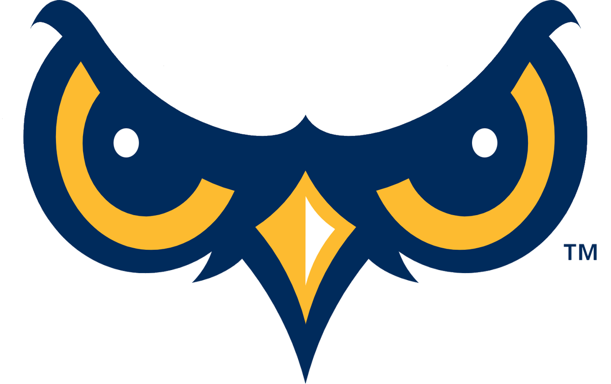 Orem Owlz Minor League Baseball Wiki Fandom