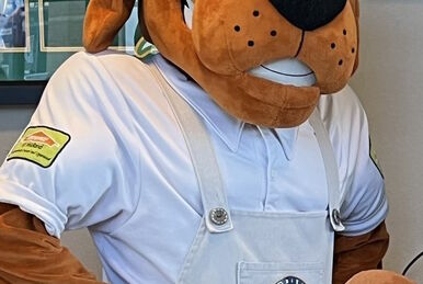 Roscoe the Hot Rods baseball team's mascot at the National