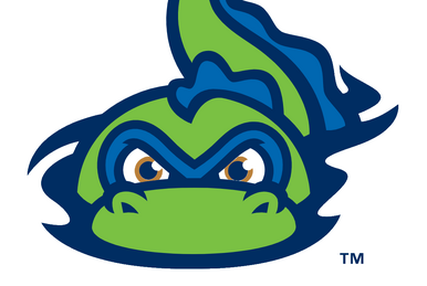 Durham Bulls - Wikipedia