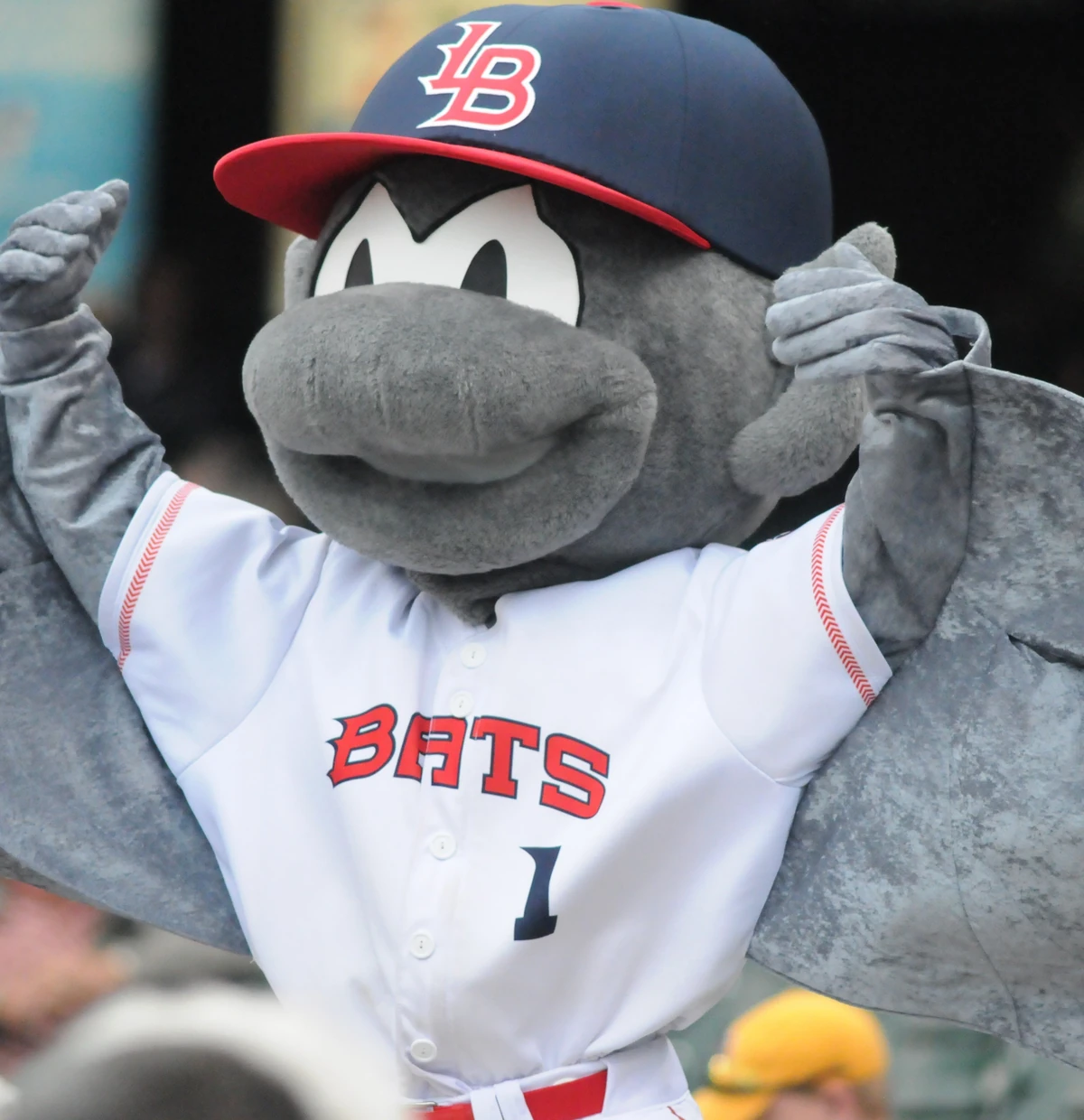 Buddy Bat Minor League Baseball Wiki Fandom